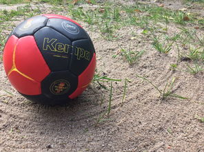 九游9游-英超球队基于运动表现数据调整赛中体能分配策略，英超球队规则