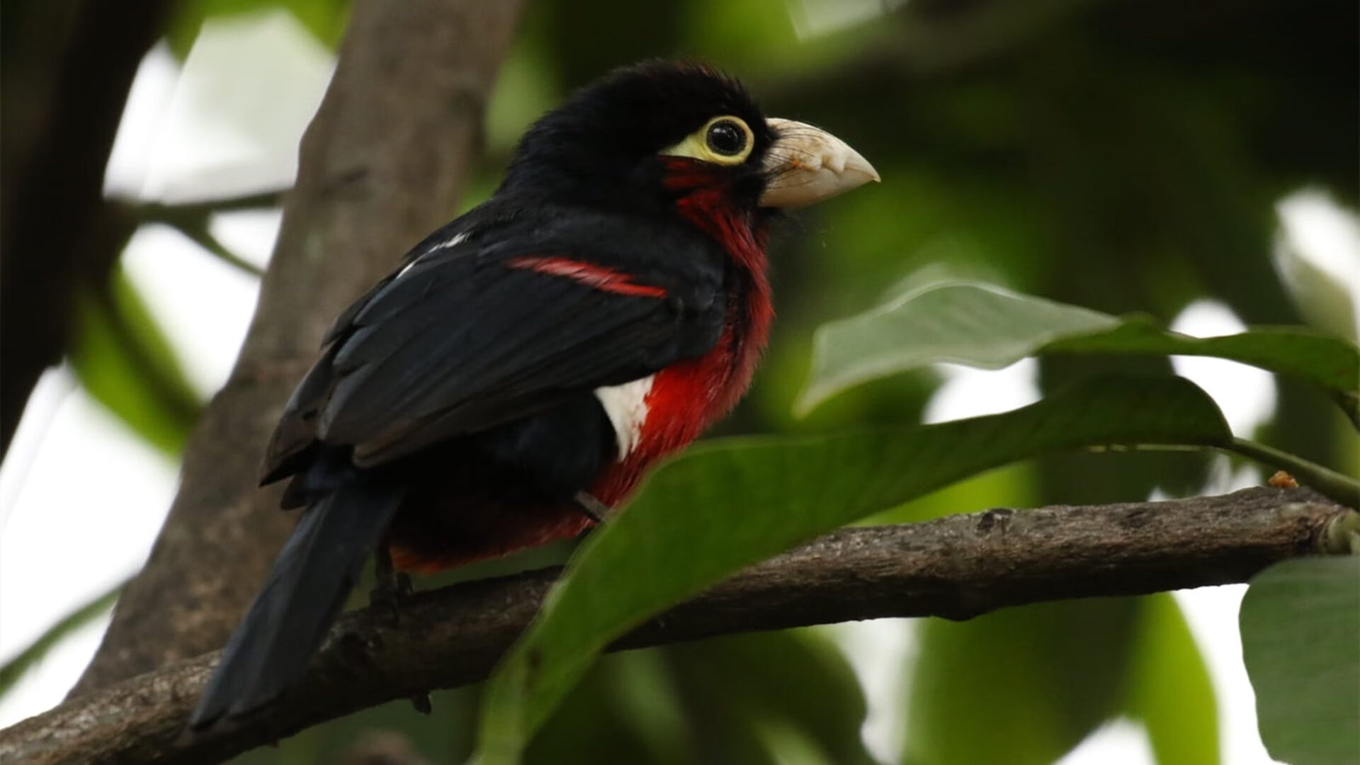 运动装备市场需求动态监测,运动装备市场需求动态监测包括