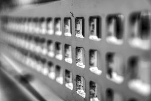 九游下载安装-高校运动训练科学管理模式创新实践，运动训练科研管理工作要求