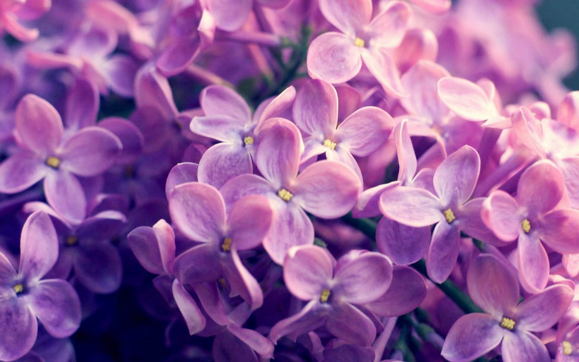 九游官网主页-国家队失误容错机制影响球员比赛自信，球队失误是什么意思