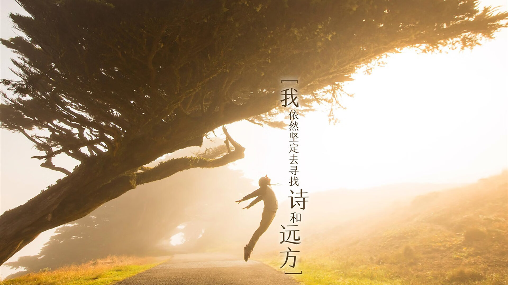 九游电脑版-美队短自项目保持领先优势，美队短袖