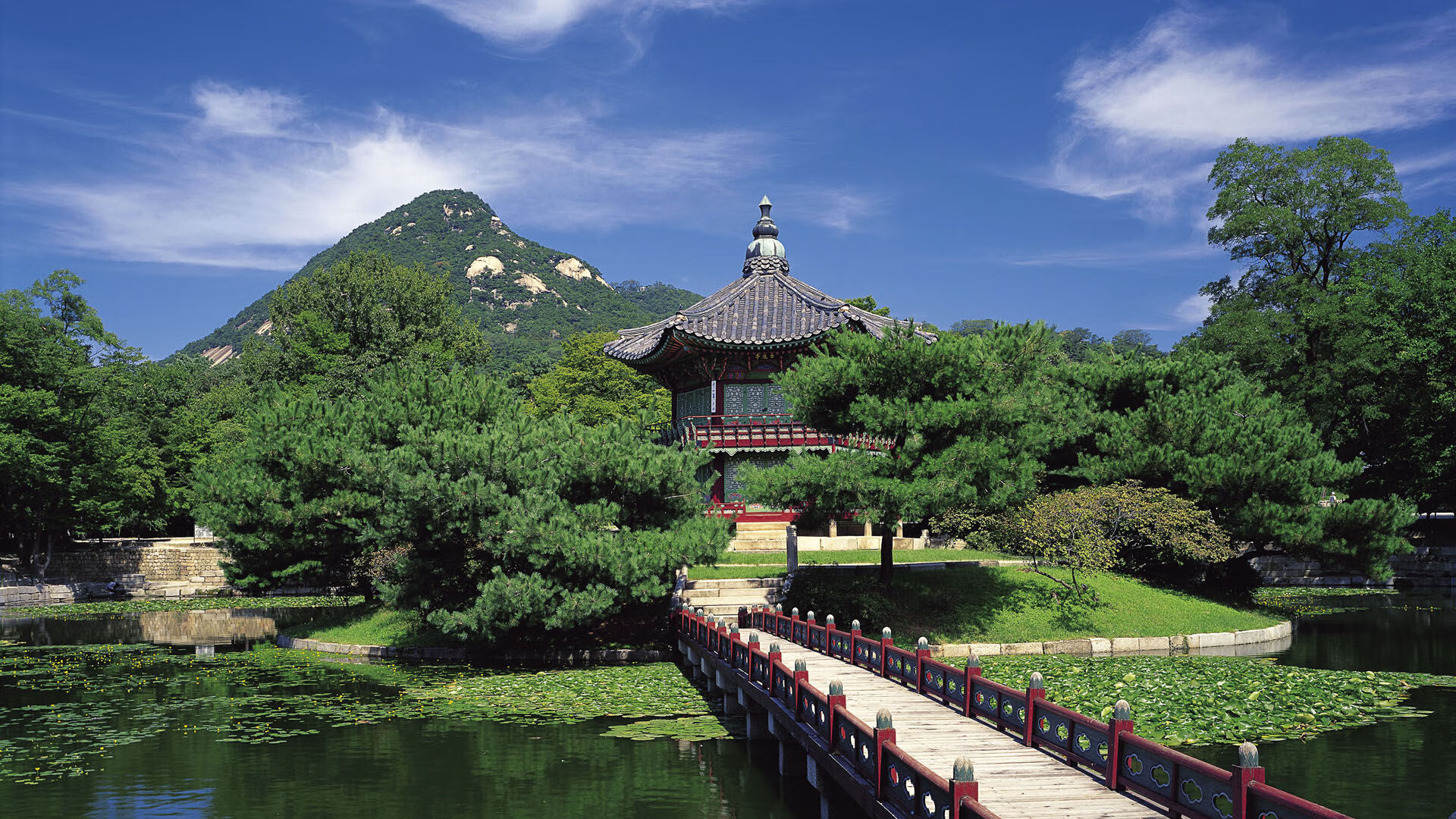 Jiuyou-中小学篮球比赛观摩机制启动为体教融合搭建常态桥梁，中小学生篮球比赛方案