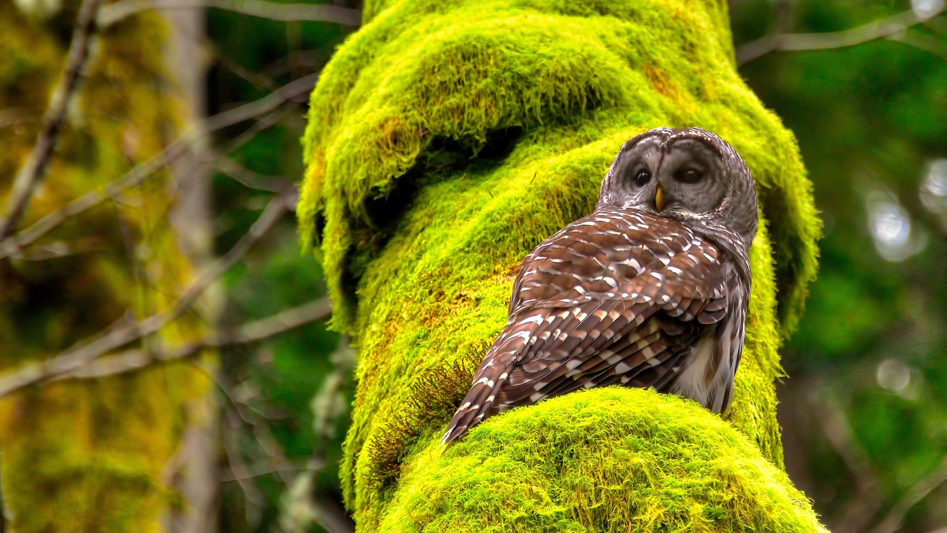 九游游戏中心-布克抢断致胜太阳东部前四稳固，布克36分太阳险胜火箭