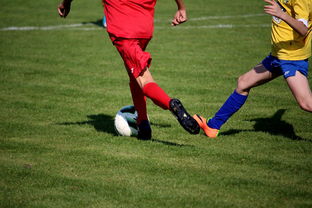 JIU YOU GAME-男篮国家队专项安排外线射手训练增强火力输出，男篮外援