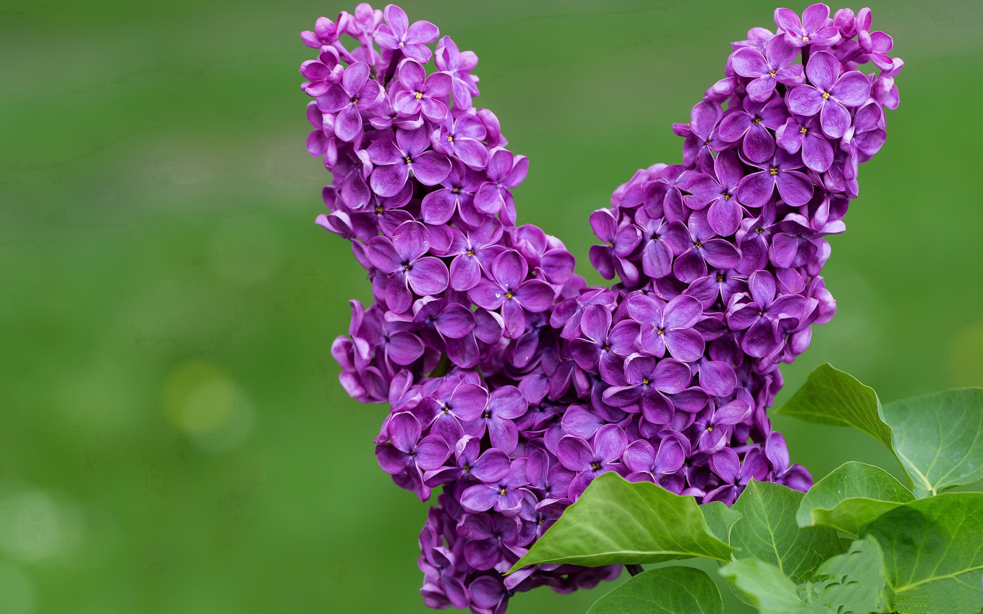 与国乒顶尖球员交手,方博:我们既是队友也是对手,国乒方博近况